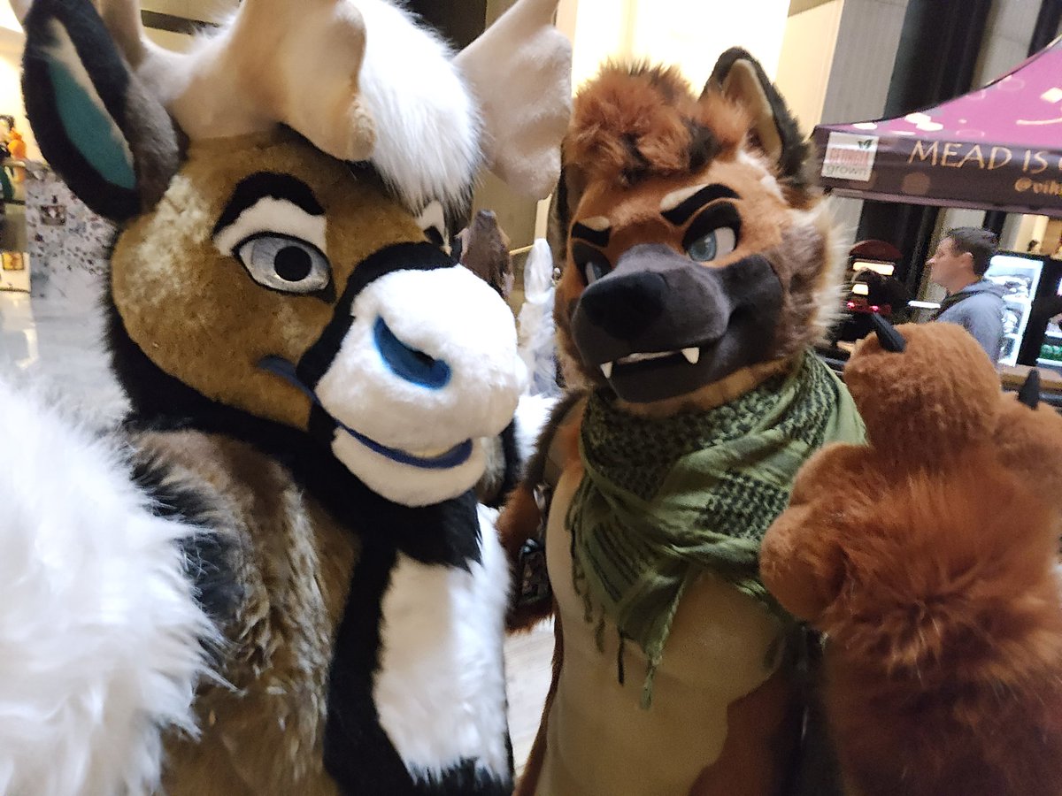 RadicalBou's tweet image. FWA FRIDAY