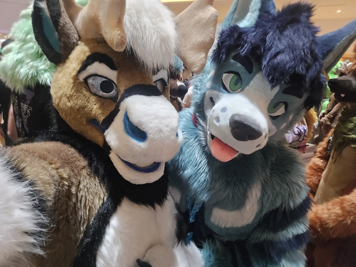 RadicalBou's tweet image. FWA FRIDAY