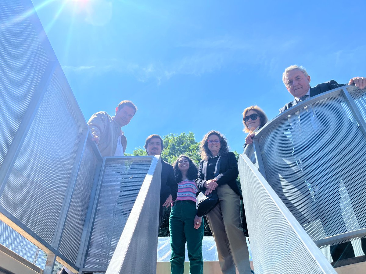 Universidad Católica tweet media