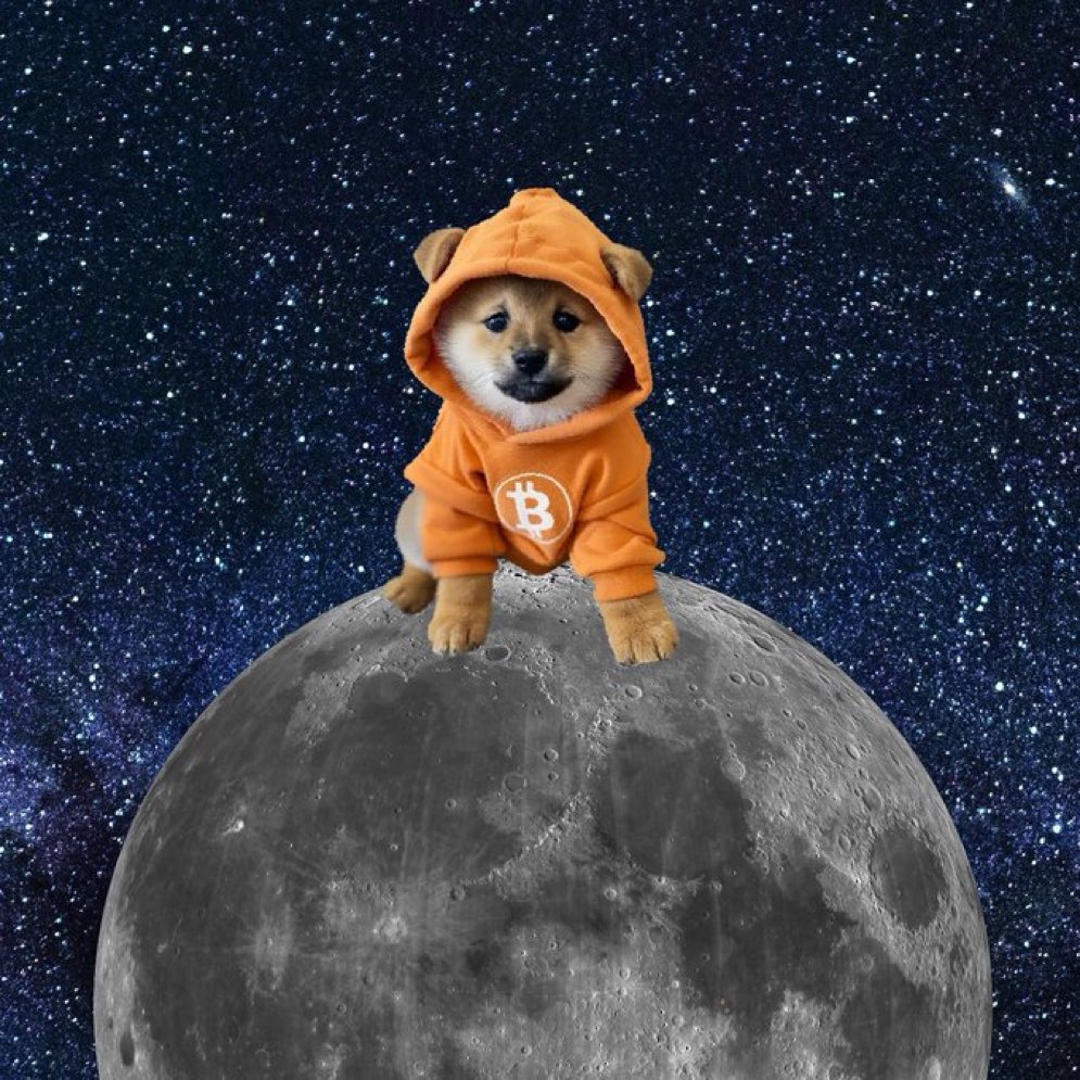 sapkarthik's tweet photo. I stick with $DOG $DRB $DARK 

@Bitcoin @base @solana 

#No1BitcoinMeme
#GrokBaby
#MCP 
#DDD https://t.co/B7Y6Uluo63