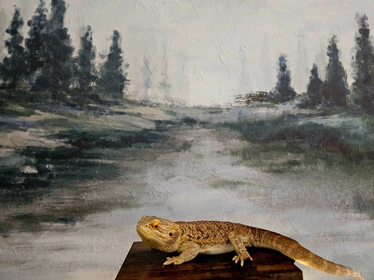 AnalogDreamDev's tweet image. Yoshi’s clocking out for the weekend—our Cozy Holes bug tester is off to dig some real dirt in nature!  Devs need sun too, right? Where you escaping to this weekend?
 #CozyHoles #DevBreak