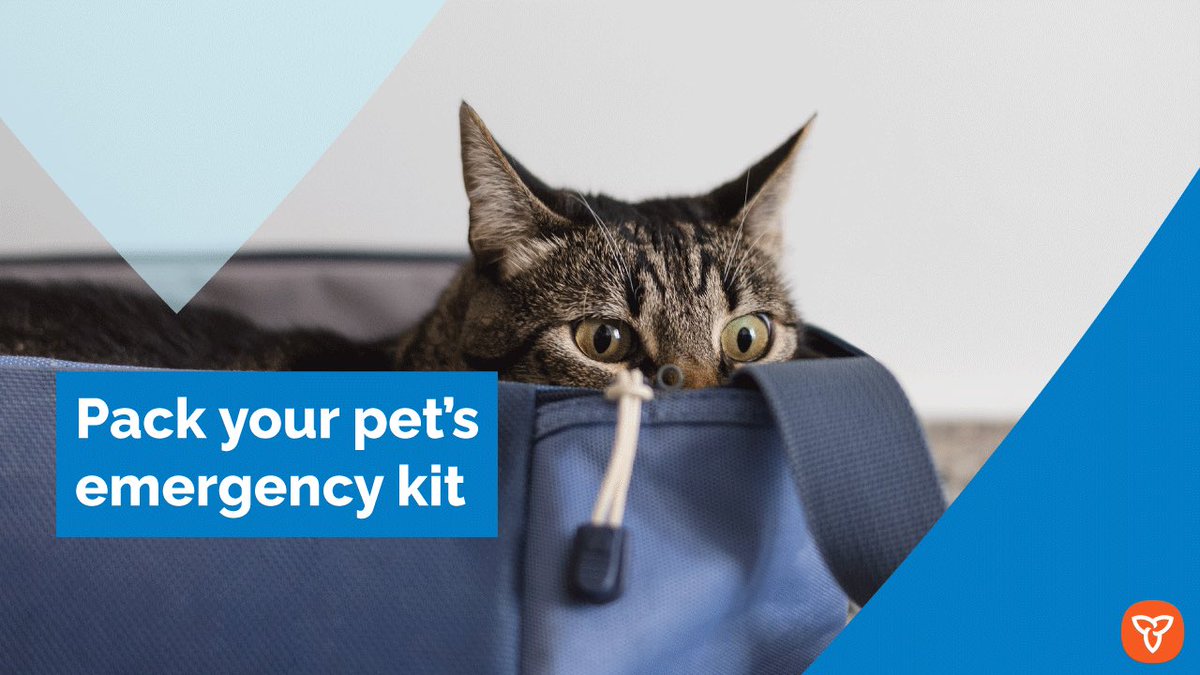 When preparing for emergencies, don’t forget your pets!

Keep pets safe and prepared by packing seasonal and daily necessities like food &amp; medication in their emergency kit too!

For kit essentials, visit: ontario.ca/BePrepared

#EPWeek2025 #Plan4EverySeason #PreparedON