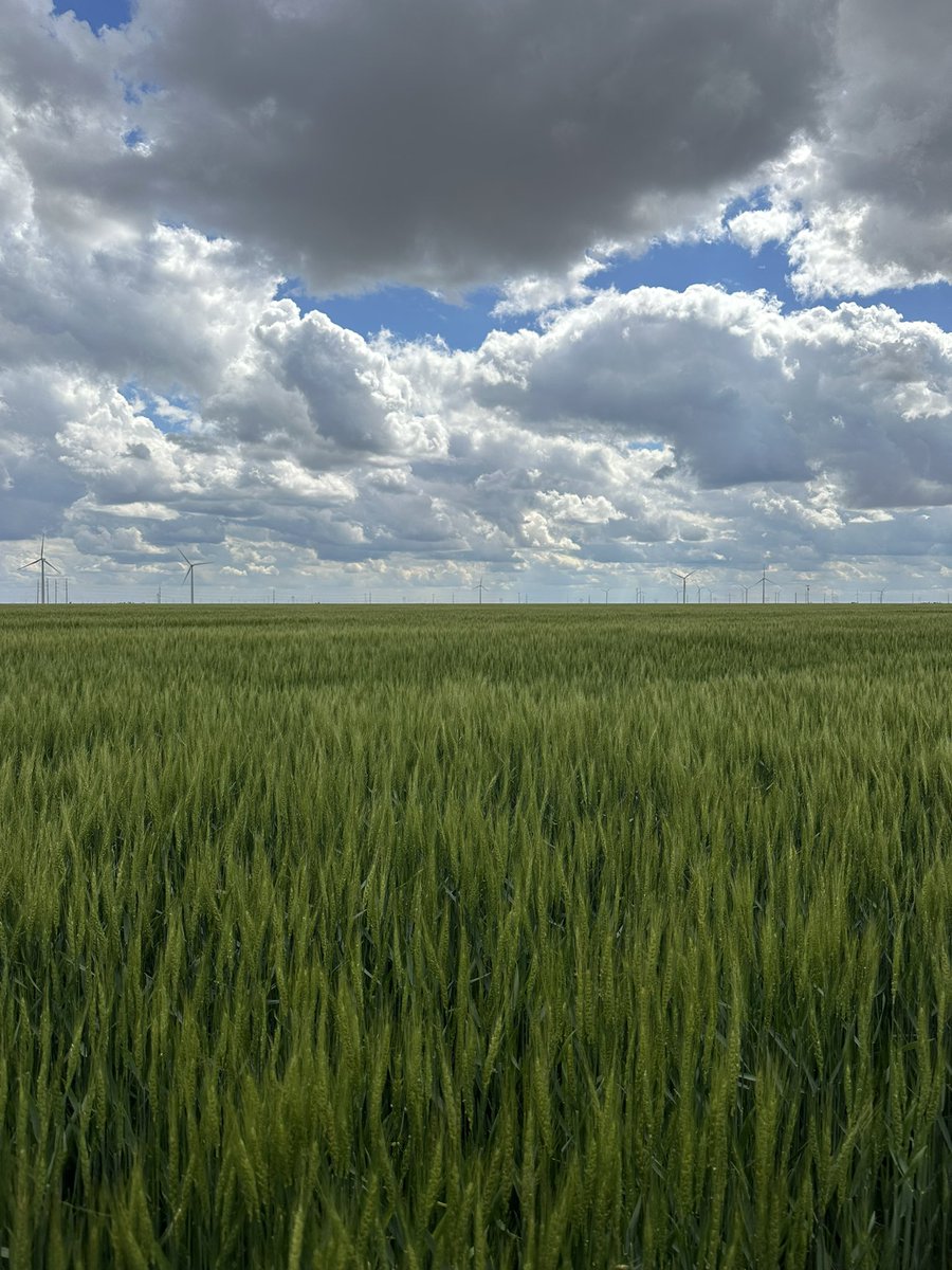 pwarminski tweet media