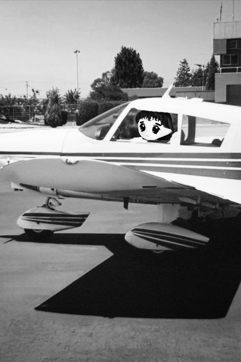 aviatorsaurus tweet media