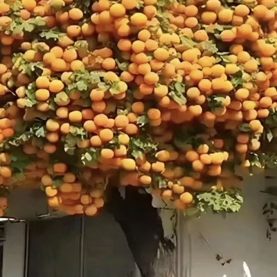 #صورة_جديدة_للملف_الشخصي