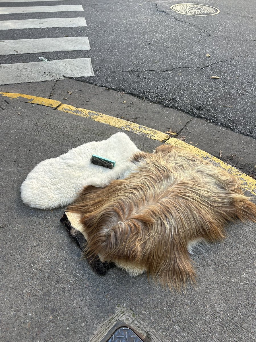 Sos vos, <a href="/marthalamartha/">Martha M. Lamartha 🦊</a>?