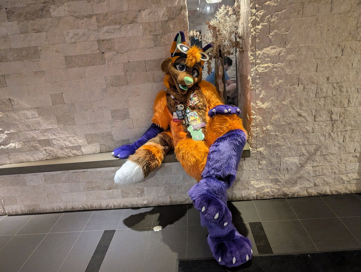 ConfusedFoxcoon's tweet image. New Fursuiter on the block
If you see me feed me alcohol and crunchy leaves :3 🧡💜💚
#FWA #Fursuit