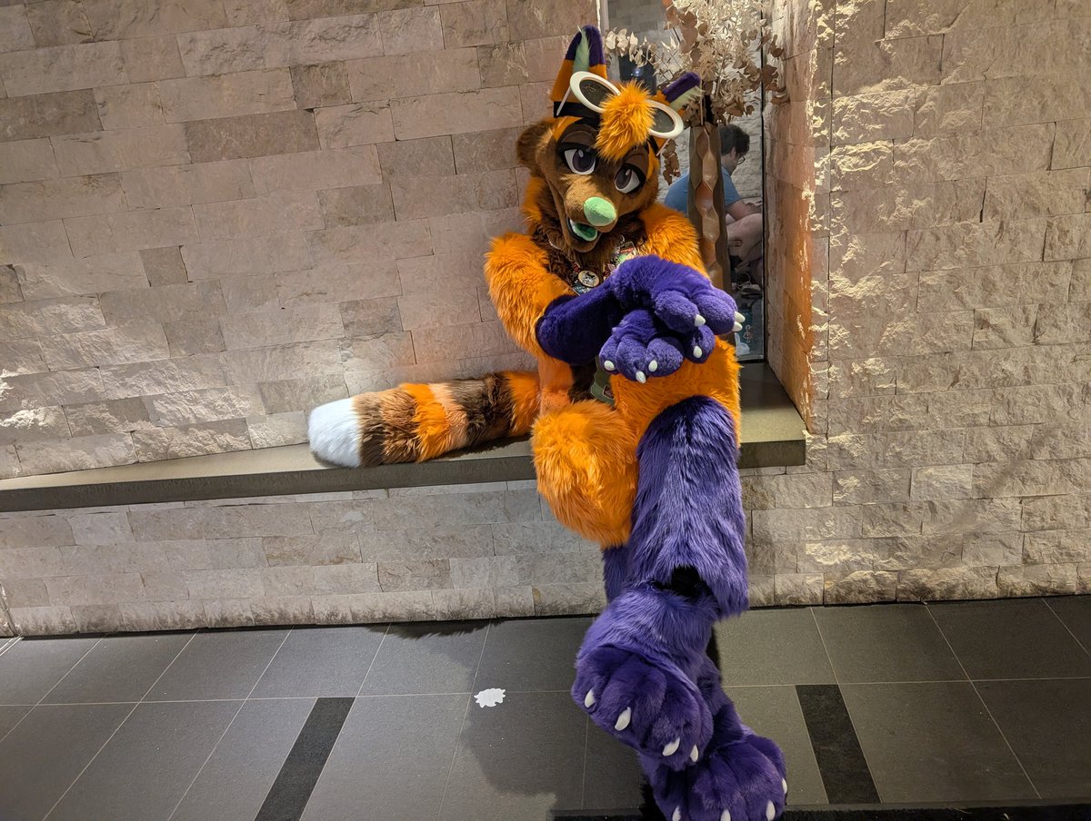 ConfusedFoxcoon's tweet image. New Fursuiter on the block
If you see me feed me alcohol and crunchy leaves :3 🧡💜💚
#FWA #Fursuit