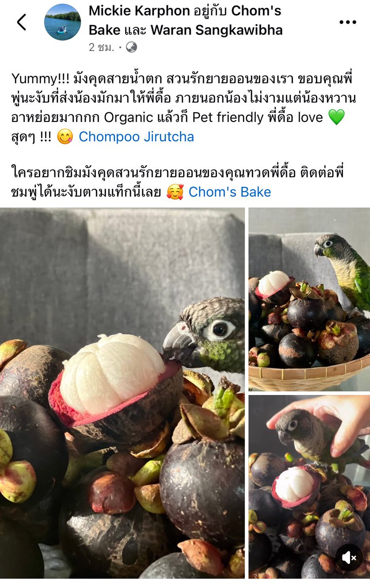 Chom's Bake tweet media