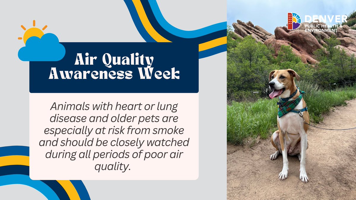 Denver Animal Shelter (@dasanimals) on Twitter photo Wildfire smoke doesn't just affect humans. Check out tips from <a href="/EPA/">U.S. EPA</a> on how to protect your furry friends: airnow.gov/sites/default/…. Use our #LoveMyAir app to check out #AirQuality before you head out for the day➡️ denvergov.org/Government/Age… #AQAW2025 #COAir #Denver #AQ #ProtectPets Wildfire smoke doesn't just affect humans. Check out tips from <a href="/EPA/">U.S. EPA</a> on how to protect your furry friends: airnow.gov/sites/default/…. Use our #LoveMyAir app to check out #AirQuality before you head out for the day➡️ denvergov.org/Government/Age… #AQAW2025 #COAir #Denver #AQ #ProtectPets