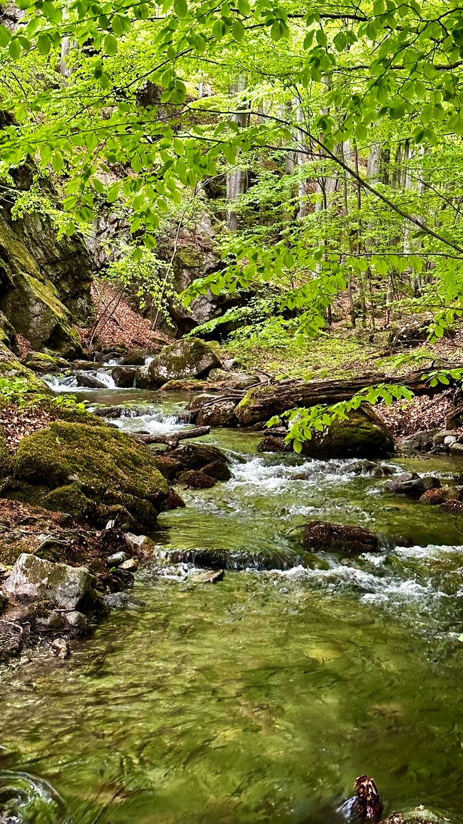 Wishing everyone a peaceful, beautiful, relaxing weekend ☀️🌿