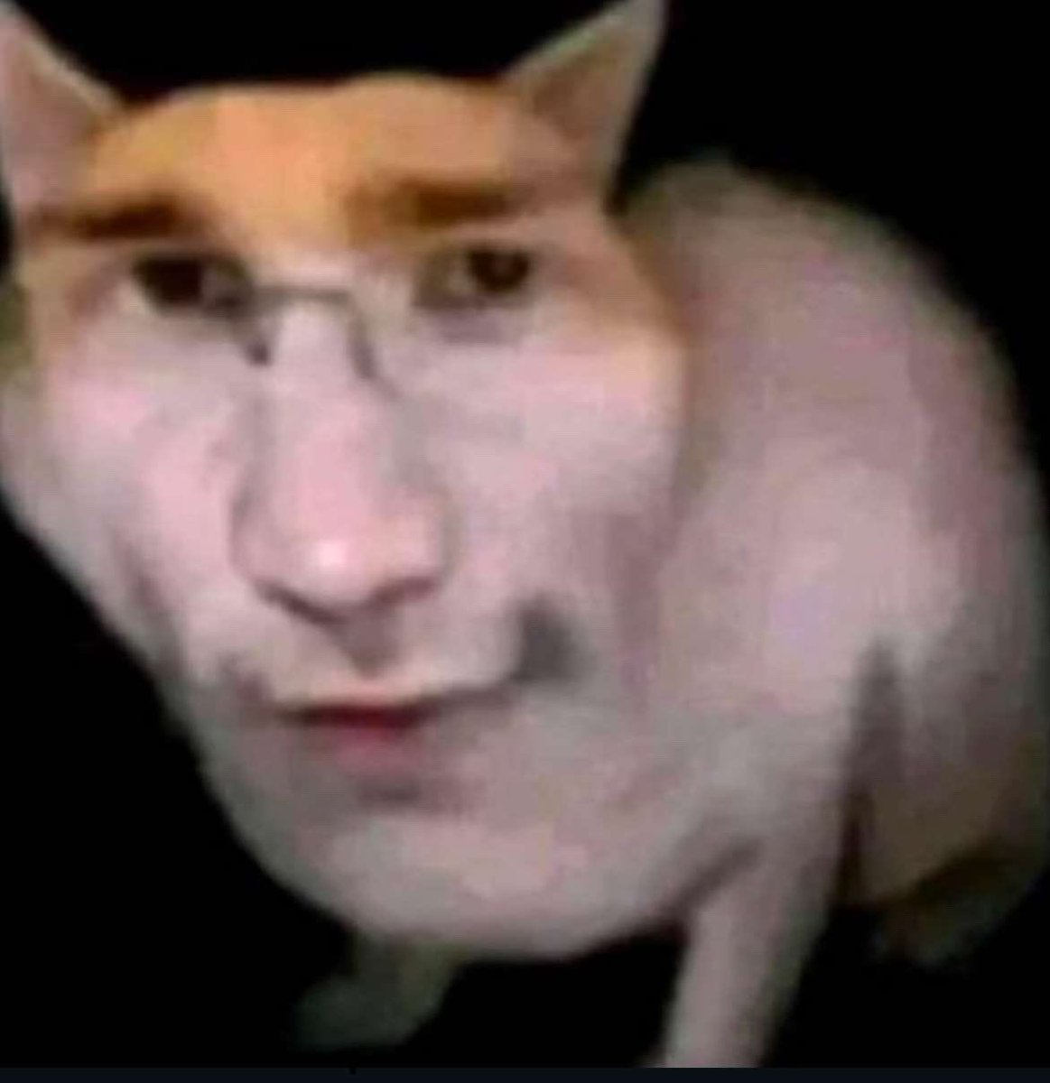 vaginerman 2.0 tweet media