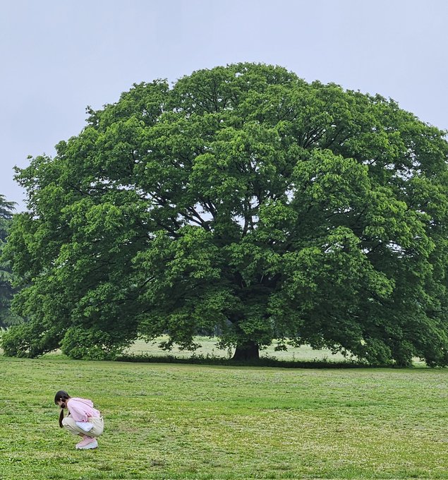 中井ゆゆのTwitter画像35