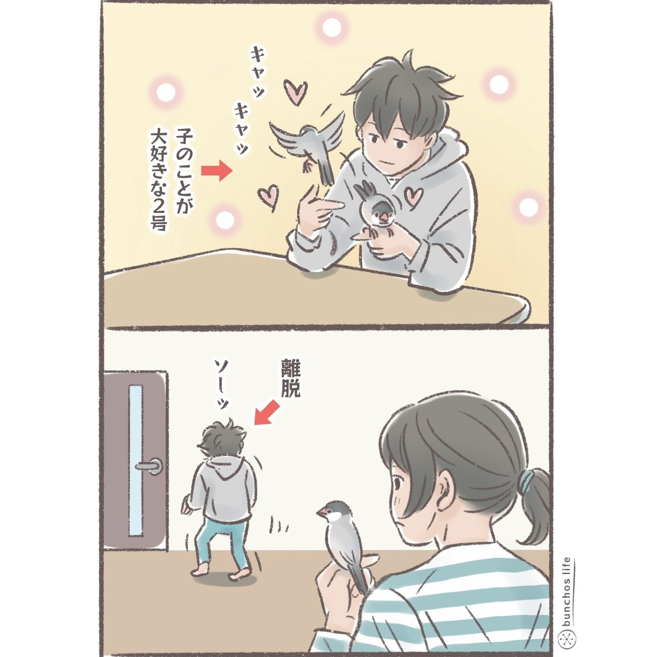 こむぎ🕊️ (@komugi_chan55) / X