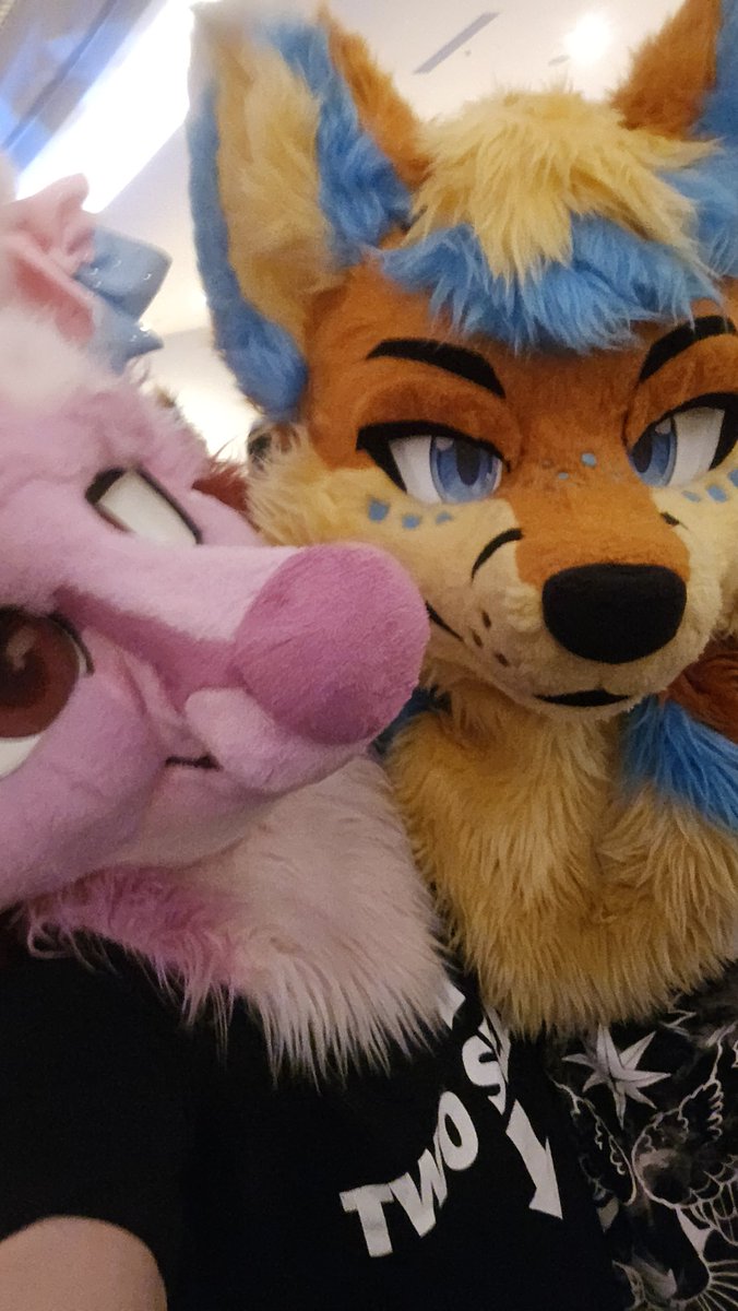 look at this cute ass mf 

<a href="/ApolloTheFolf/">ApolloFolfsky🔜MP</a>