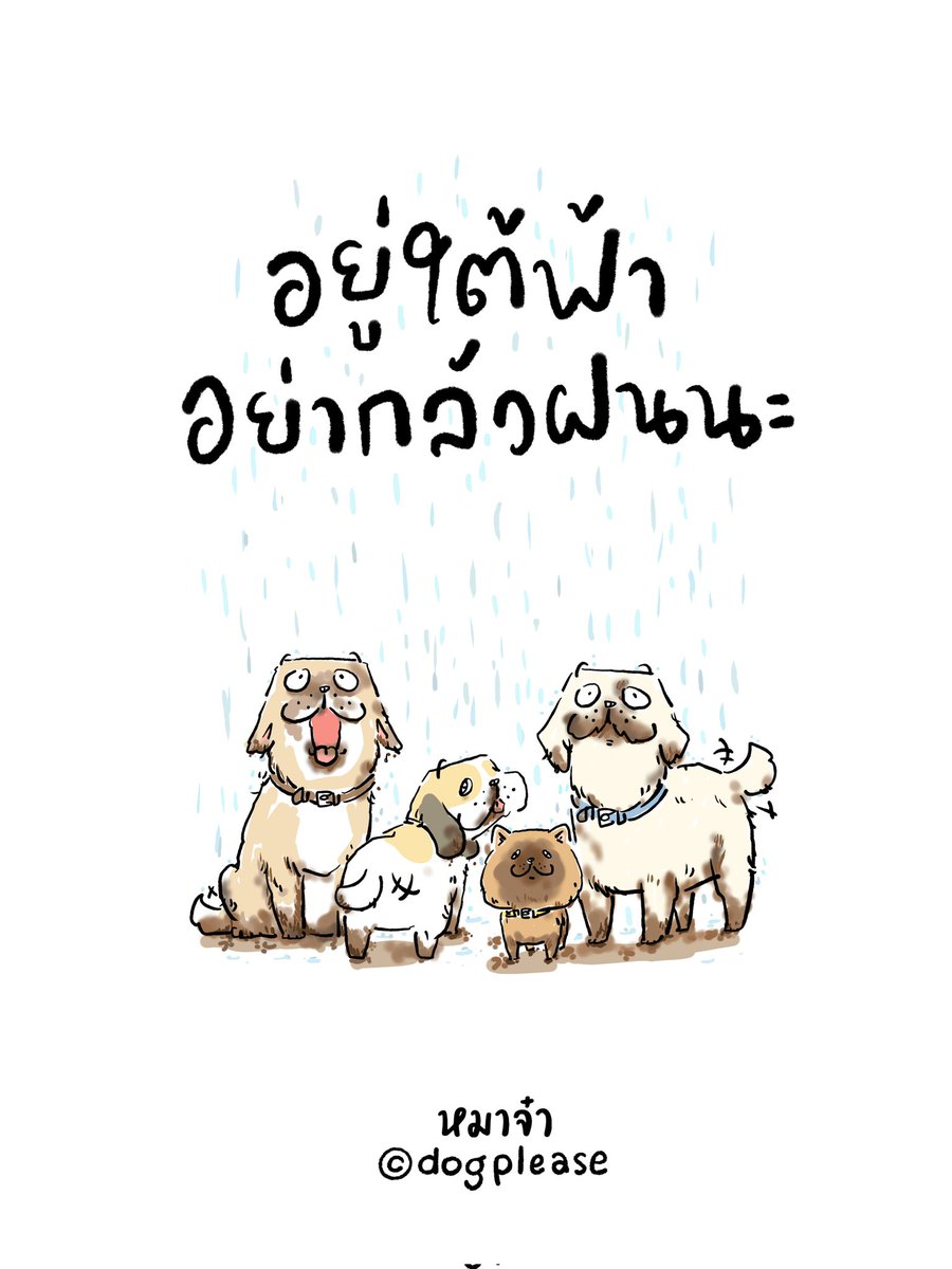 dogplease2013's tweet photo. https://t.co/R2q7gSYxlV