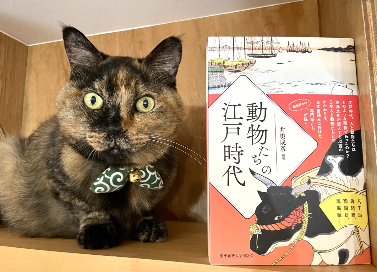 キャッツミャウブックス® on X