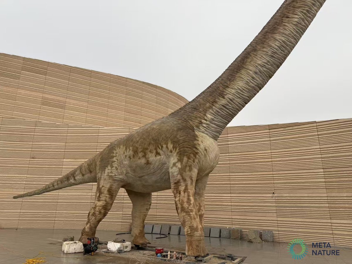 WIP of Huabeisaurus outdoor display