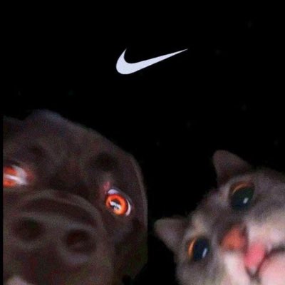 RonaldMont71125's tweet photo. #NewProfilePic https://t.co/tGdduwkmQm