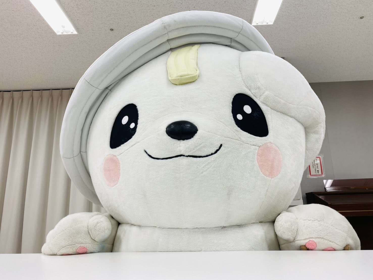 さのまる 佐野市 / 佐野ブランドキャラクター さのまる 原付