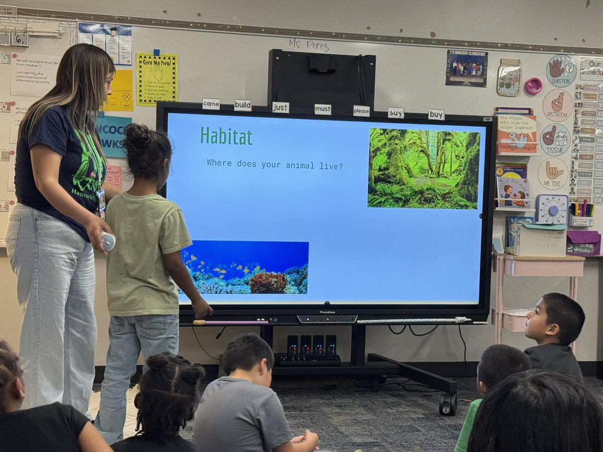 Eva Perales tweet media