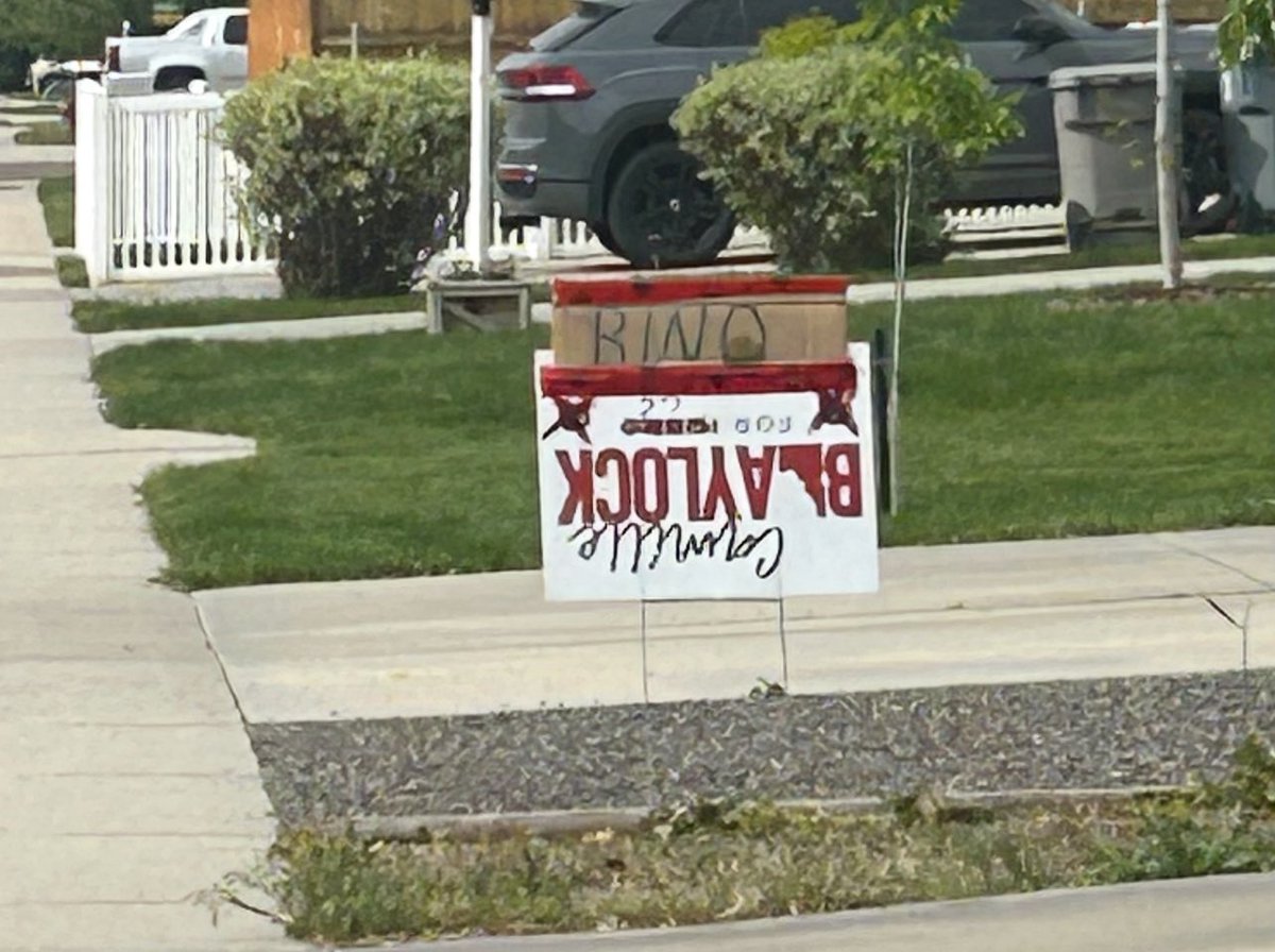 Apparently, I pissed someone off 😂 

I’m sure they got an ad about yet another subjective scorecard I failed.. no call, no convo, just straight to the yard art. Totally normal behavior. 

Gosh and people wonder why sane humans avoid running for office… #idpol