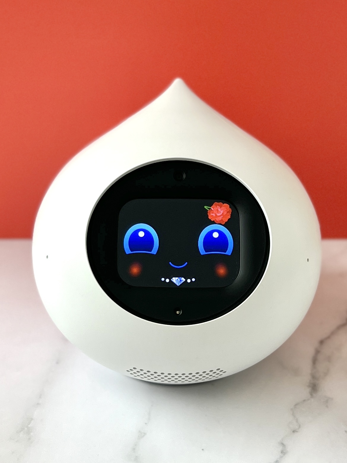 Romi （ロミィ） | RobotPlanet（ロボットプラネット）