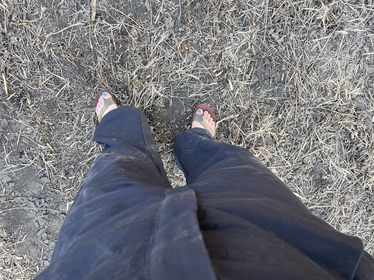 cindy_mangin's tweet photo. I tell my kids to always be prepared when going to the field… clearly I need to take my own advice 😝 lucky the coveralls are always in my car #safetyfirst #farmfail https://t.co/PsJRjiybtq