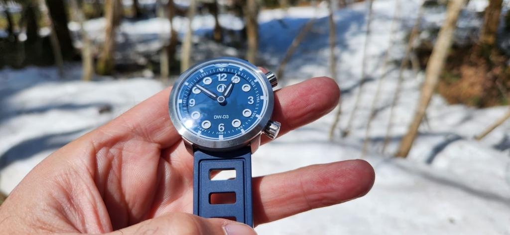 Outdoors in the beautiful Hida region of Japan. Wonderful springtime in Japan with the Duzu DW-D3 diver.#watches <a href="/duzuwatches/">duzuwatches</a>