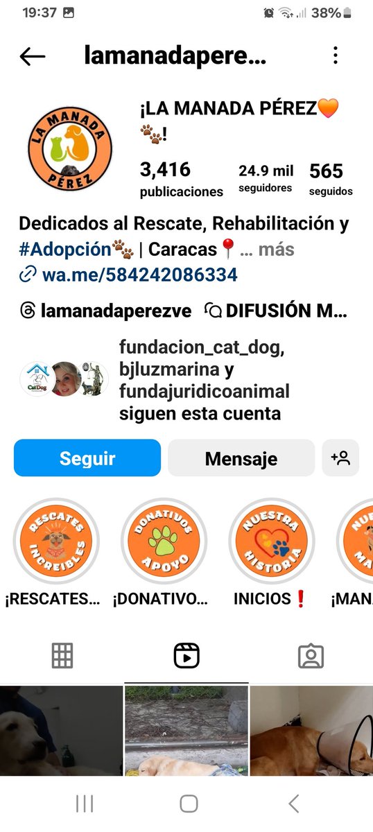PerroUsuario Wof '•' (@perrousuario) on Twitter photo Servicio Público Canino URGENTE RP <a href="/Ma_Elisa_G/">#VzlaEntrampadaEntreDuplaMudPsuv🇻🇪🇻🇪</a>: 🆘️🚨🆘️URGENTE UN DONANTE DE SANGRE CANINO PARA APOLO, RESCATADO HOY EN EL VALLE/Ccs. Lo rescató la MANADA DE PEREZ. Servicio Público Canino URGENTE RP <a href="/Ma_Elisa_G/">#VzlaEntrampadaEntreDuplaMudPsuv🇻🇪🇻🇪</a>: 🆘️🚨🆘️URGENTE UN DONANTE DE SANGRE CANINO PARA APOLO, RESCATADO HOY EN EL VALLE/Ccs. Lo rescató la MANADA DE PEREZ.