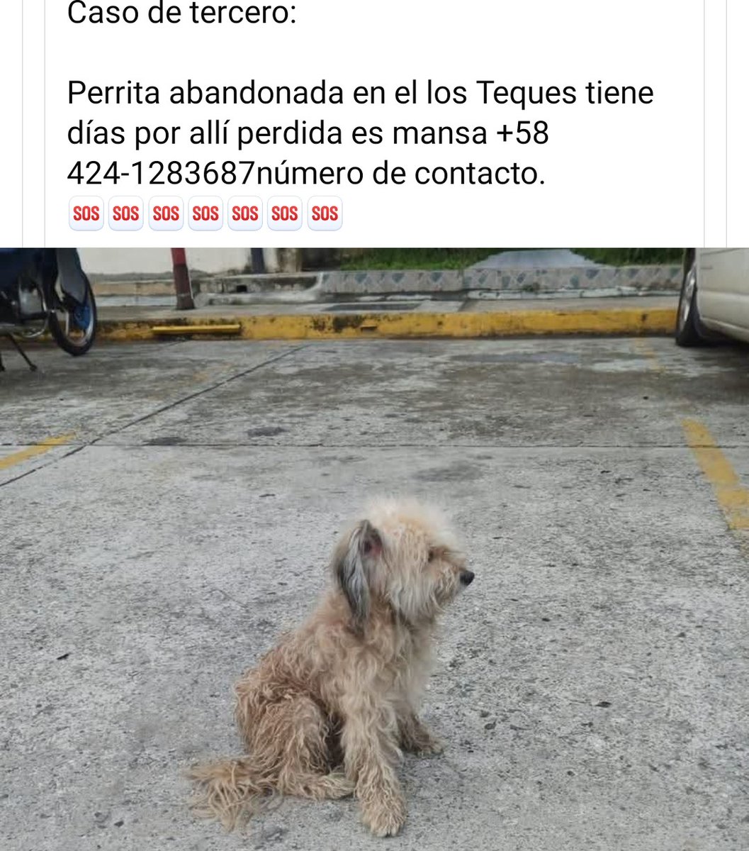 URGE resguardo, Los Teques