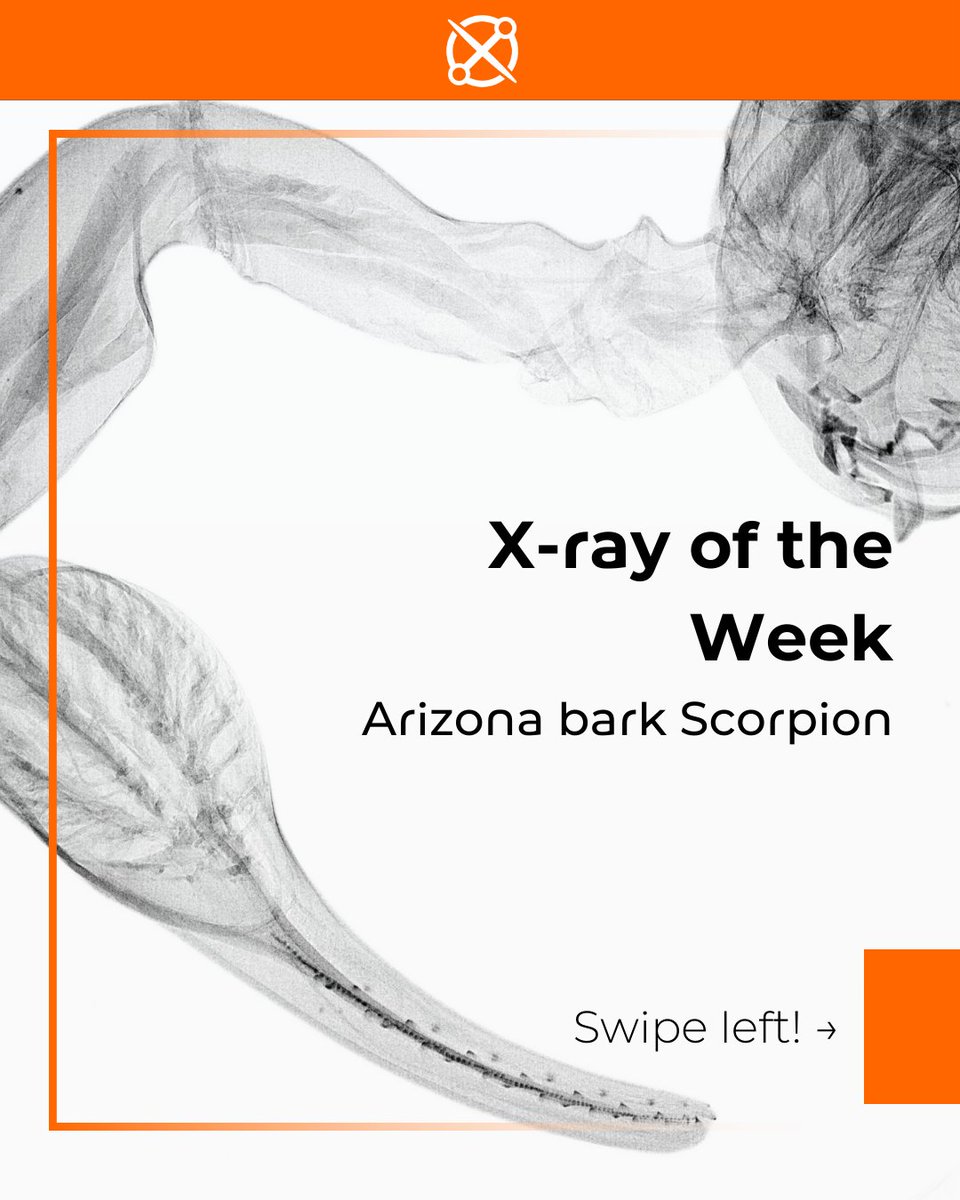 Creative Electron tweet media