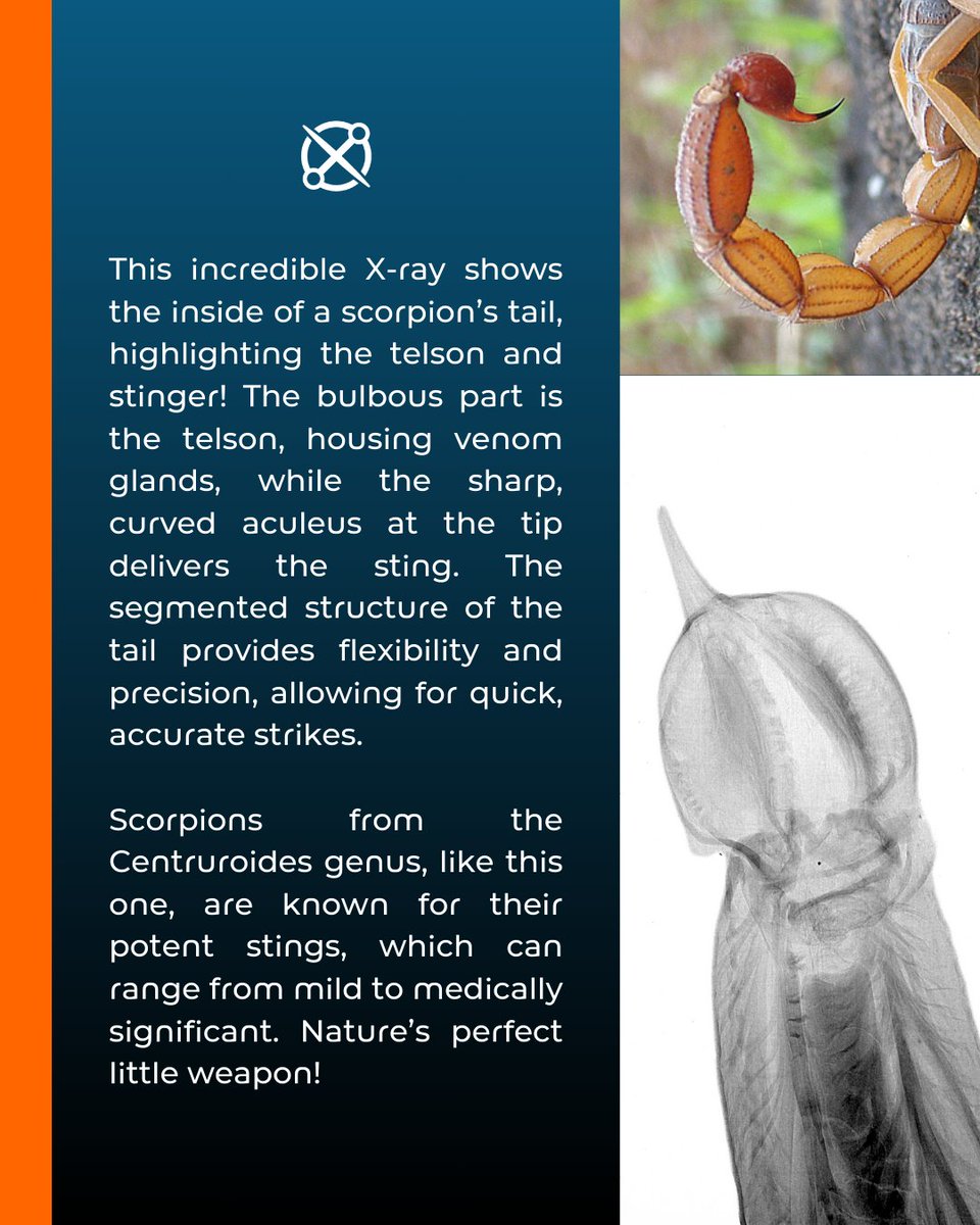 Creative Electron tweet media