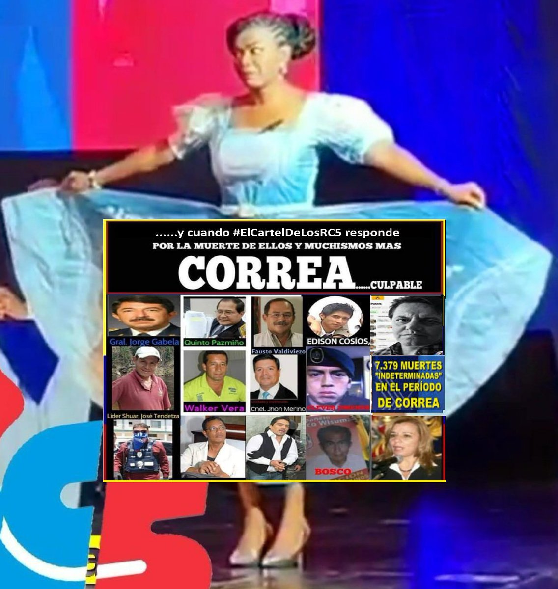 ElGranRabbit tweet media