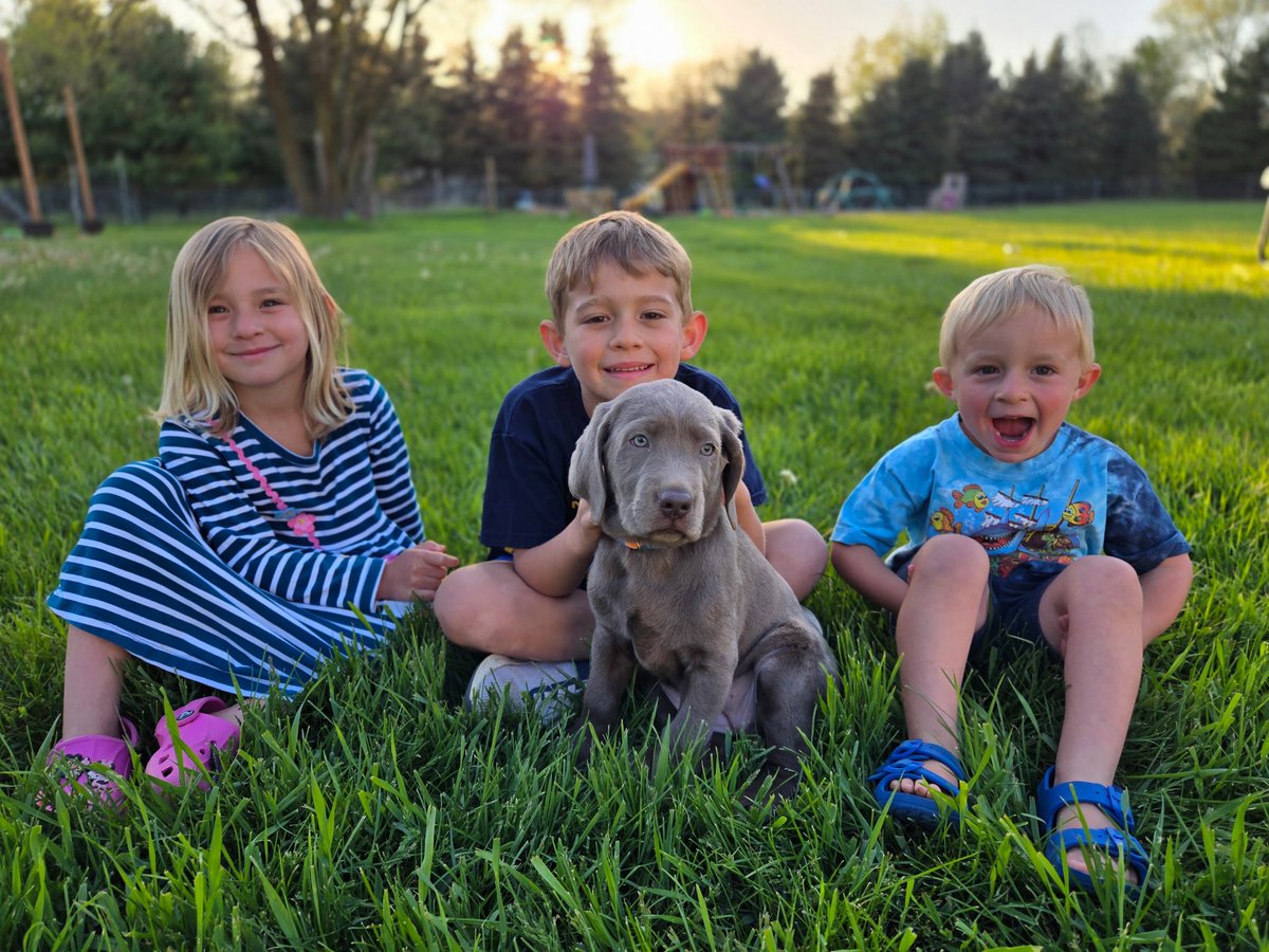 wiebengj's tweet image. Welcome to the family Zuma!