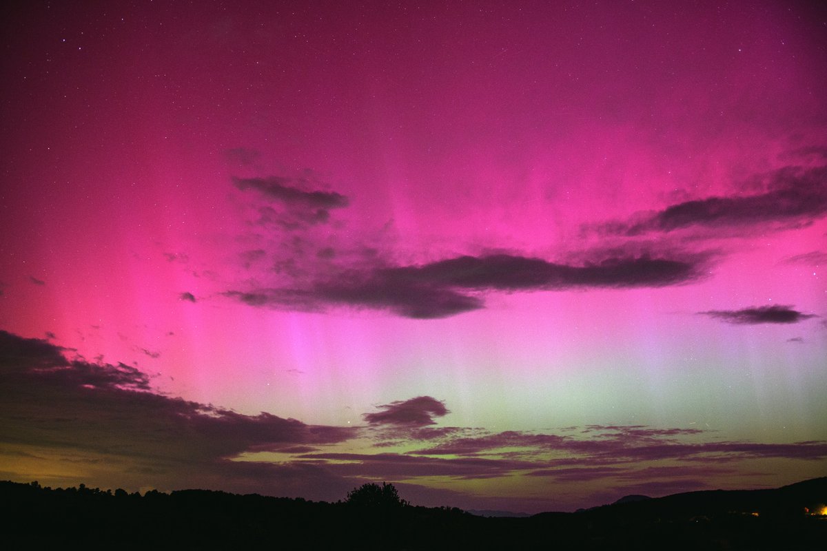 Jure Atanackov tweet media