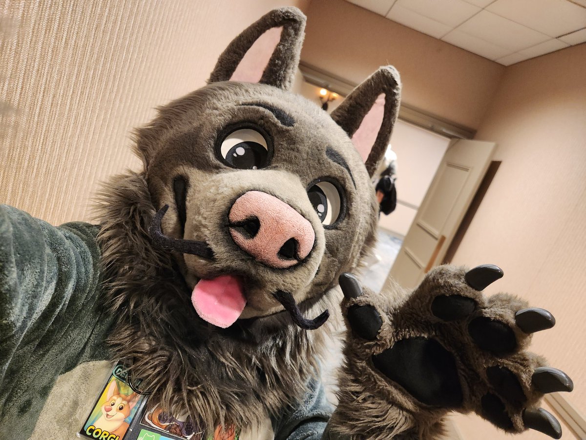 Happy Fursuit Friday! Corgi Bear wishes you a wonderful weekend! 🥰