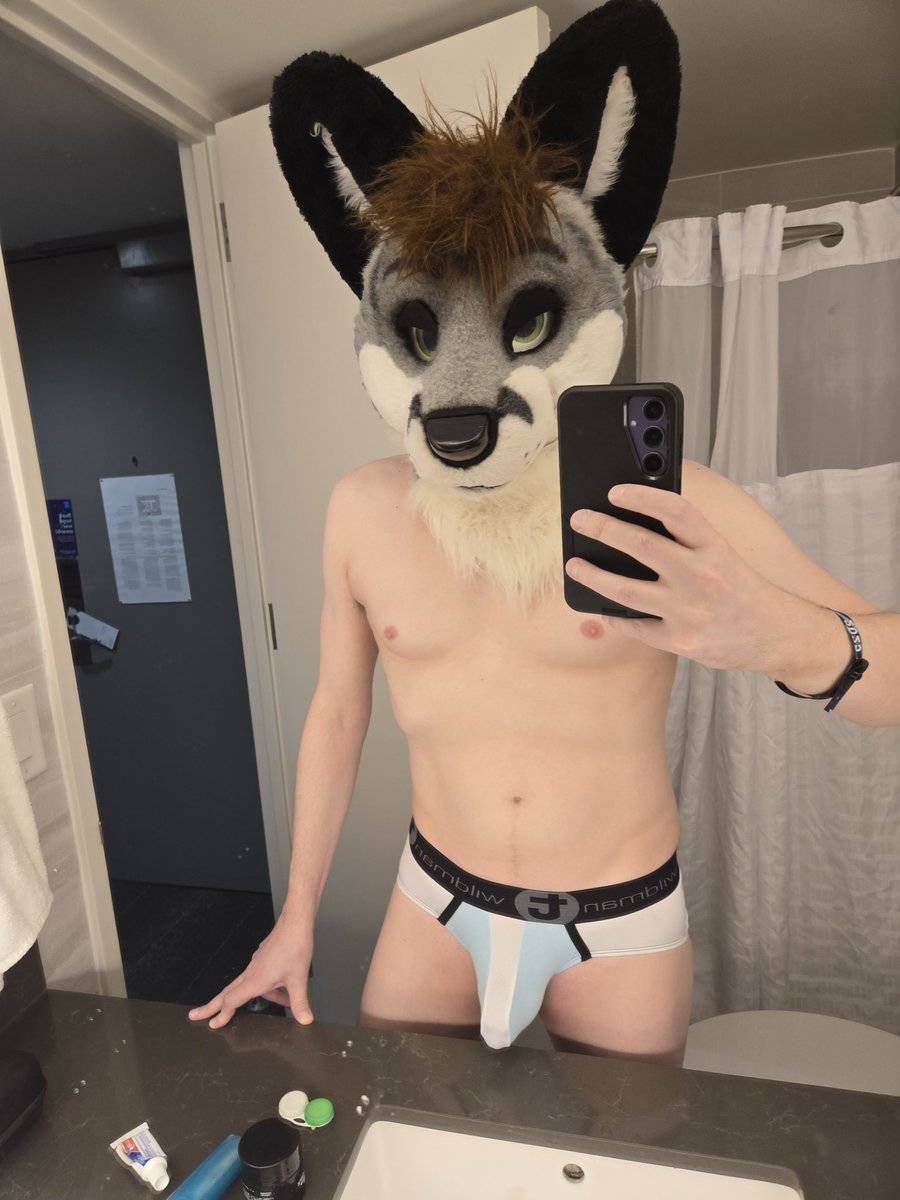 Felkie 🦊🐺 tweet media