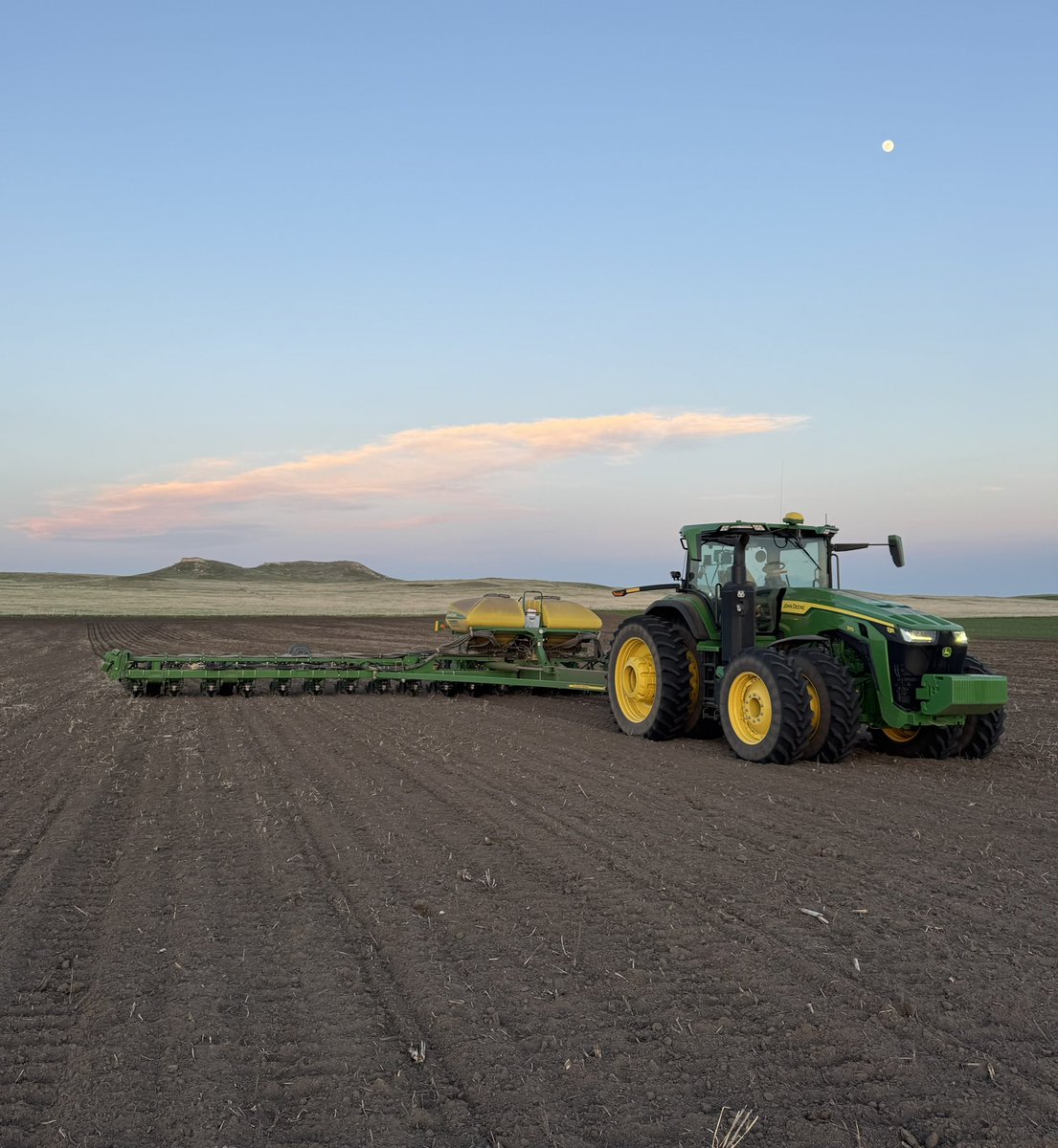 She’s got that western feel. #plant25