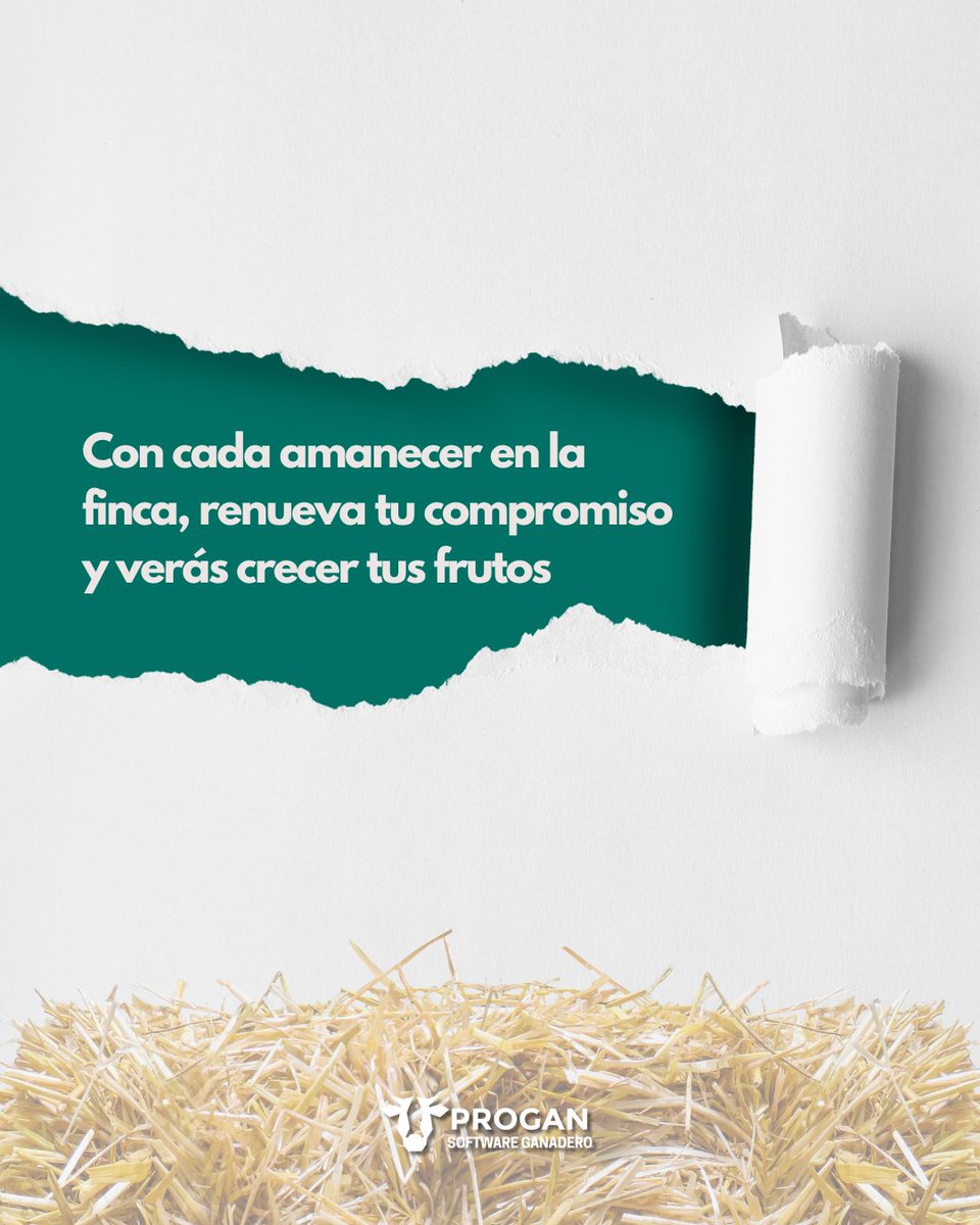 ProganSoftware's tweet image. Los desafíos en la finca son parte del camino, ¡pero cada uno superado te hace más fuerte! 🐂 Forja tu legado con cada obstáculo que vences en la gestión de tu ganado bovino. 

#GanaderíaResiliente #Bovinos #LegadoGanadero #colombia #Venezuela #PROGANSoftware #9May