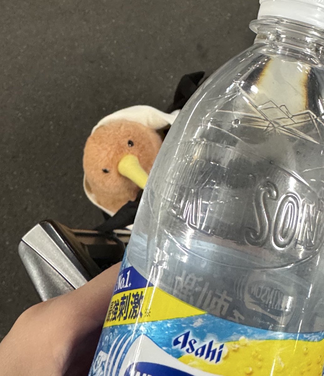 シュワシュワ、、、ホシイ、、、🫧