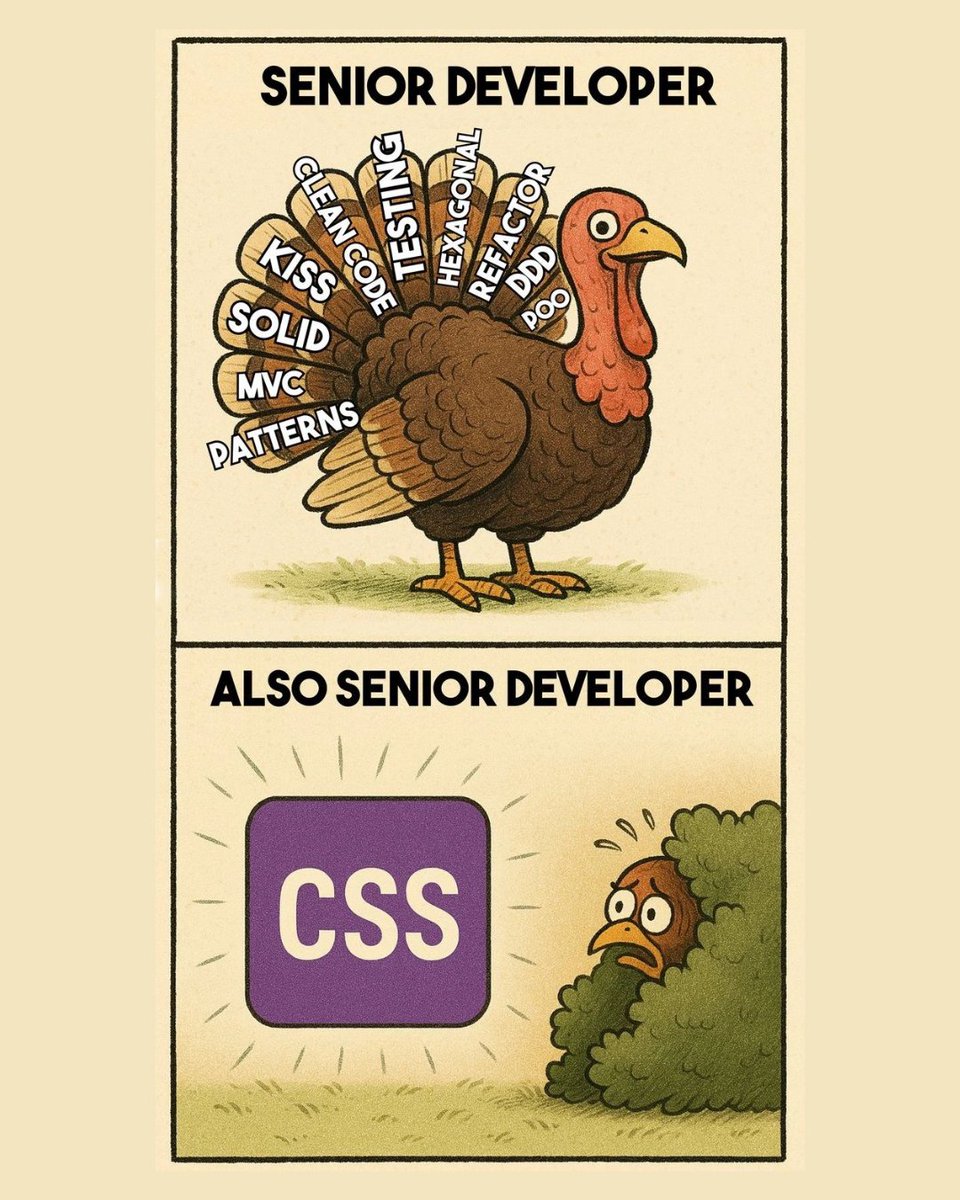 👨‍💻 Dev: “Solo cambié el padding.”
💥 Navegador: “Felicidades, ahora tu botón está en Marte."