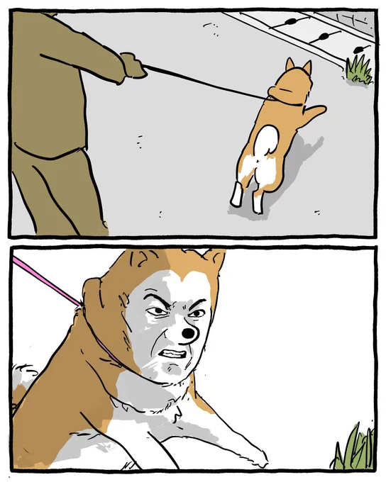 何としてもあの草の匂いを嗅ぎたい大沢たかお似のしば犬
 #大沢たかお祭り 