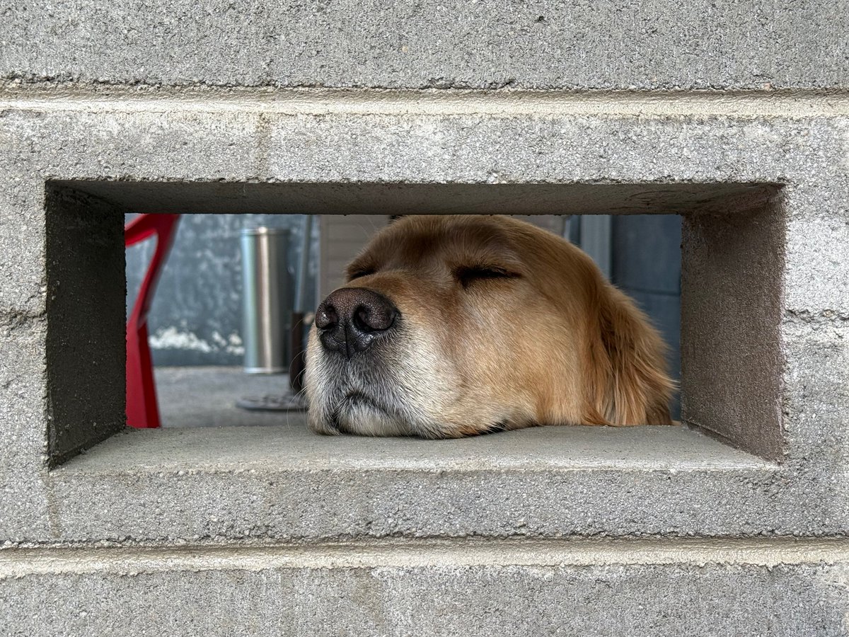 WEVERSE UPDATE KIM TAEHYUNG 

#Weverse #V #뷔 #TAEHYUNG #BTSV