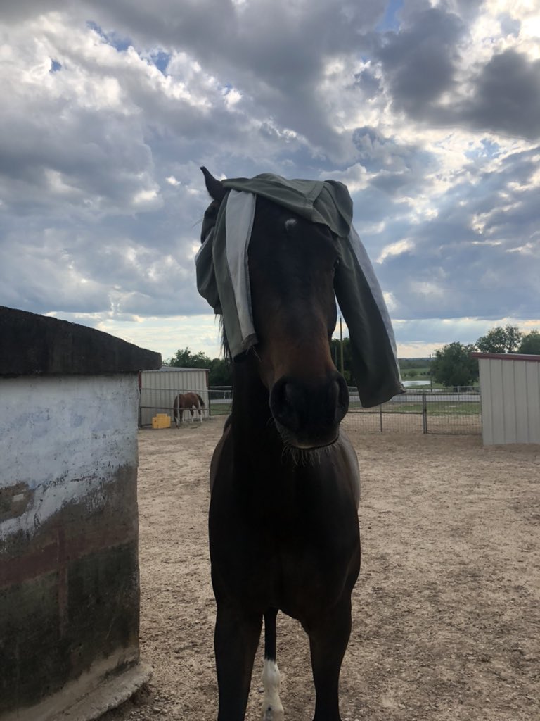 Sometimes you need hazed when being a diva. Poor guy