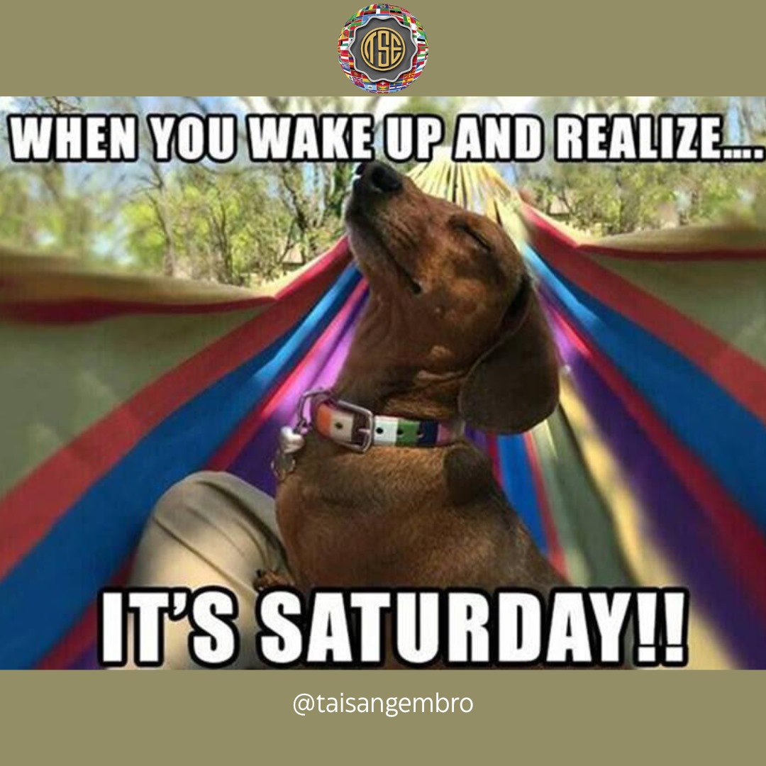 TaiSangCN's tweet image. THAT FEELING WHEN YOU WAKE UP AND REALIZE… IT’S SATURDAY! 😍🎉
No alarms. No rush. Just good vibes and weekend freedom.
Take a deep breath, smile wide, and enjoy the little joys today brings.
Whether you're relaxing or creating, make it count!
#SaturdayMood #WeekendJoy