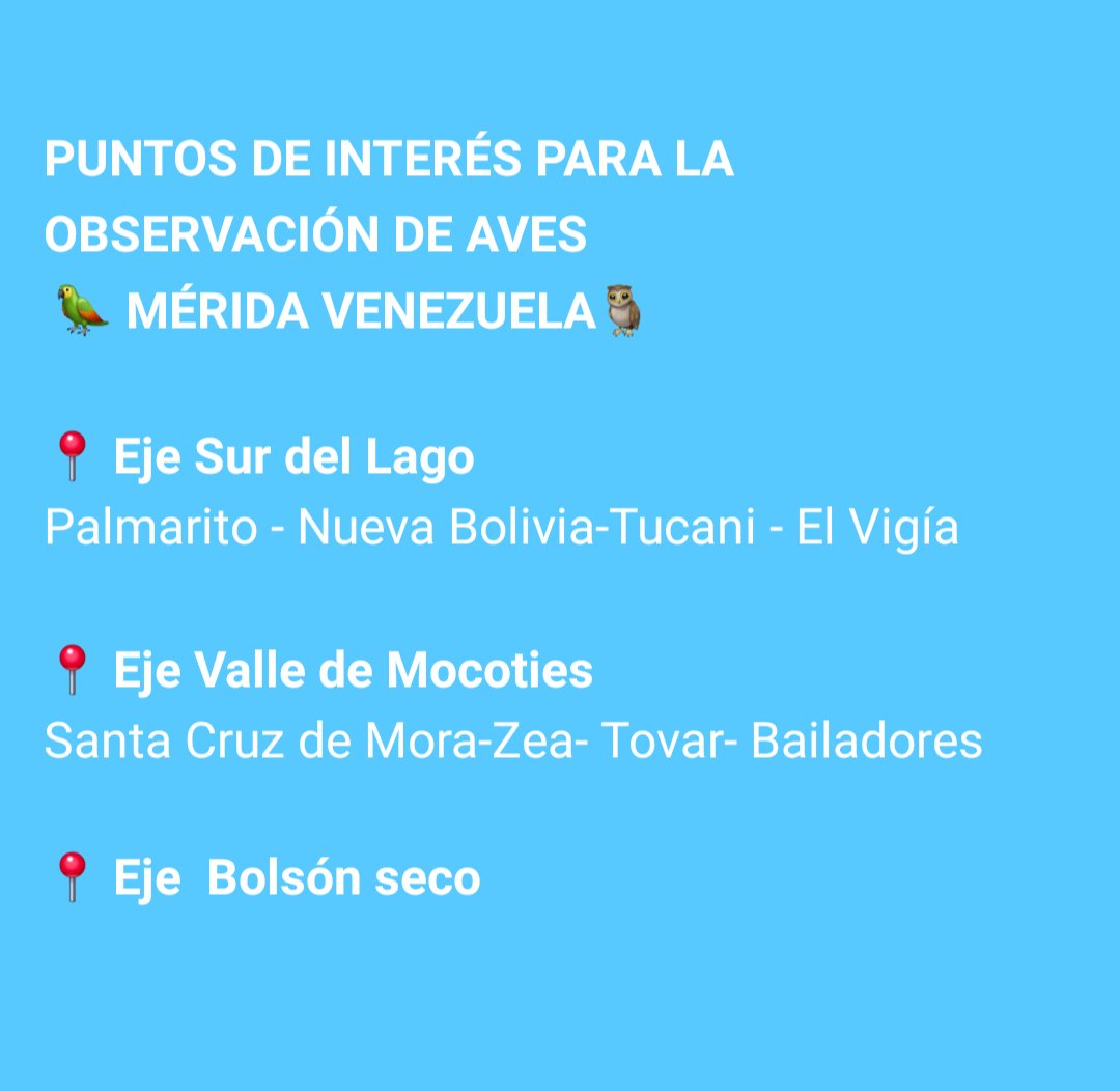 #09May #GlobalBigDay2025 
La Corporación Merideña de Turismo, Cormetur, invita a participar en este día mundial de la observación de aves.
#Mérida buscará mantener el primer lugar de avistamiento alcanzado el pasado mes de octubre.