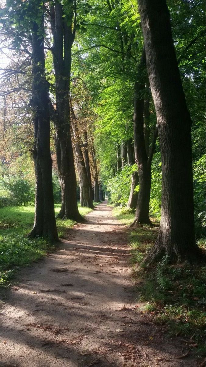 LeLeJan80's tweet image. Good Morning ☀️