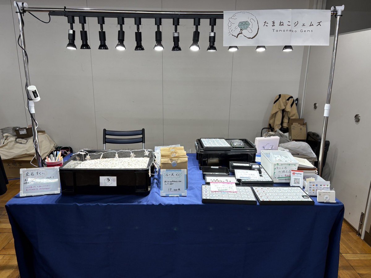 TearsGemz's tweet photo. 開場いたしました✨️
石すくいですが、今回は天然石少なめで当たりコインの確率が上がっています(*^^*)
皆様ぜひ遊びに来てください(*^o^*) https://t.co/6pVvnVhlls