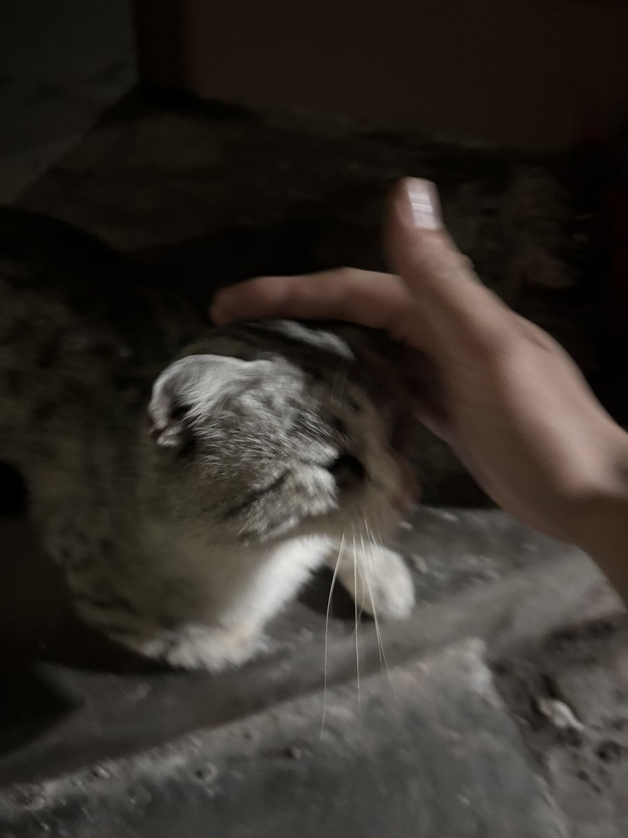 扇我几把真的很戳我xp…会自己把舌头吐出来的程度…